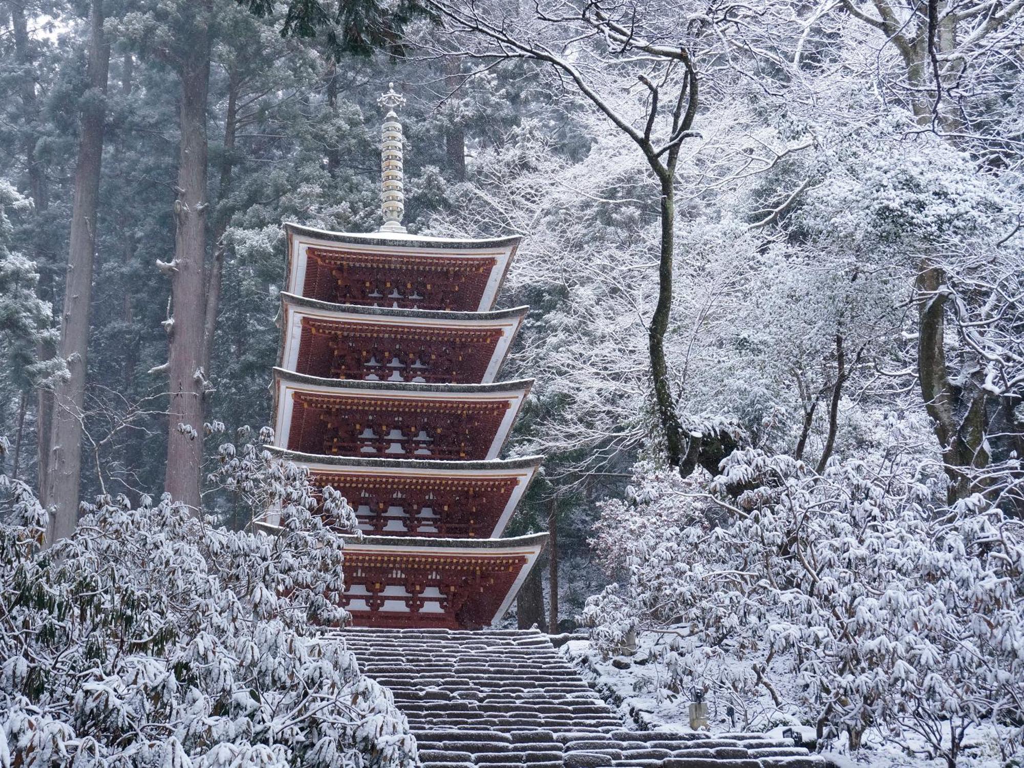 Grand Mercure Nara Kashihara Kashihara  Exterior foto